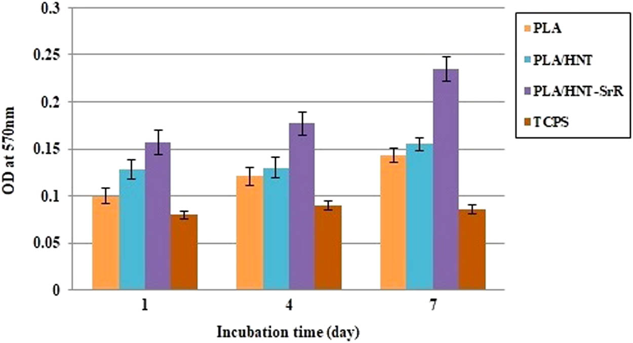 Figure 7 
                  MTT assays of cell proliferation and viability on the scaffolds.
               