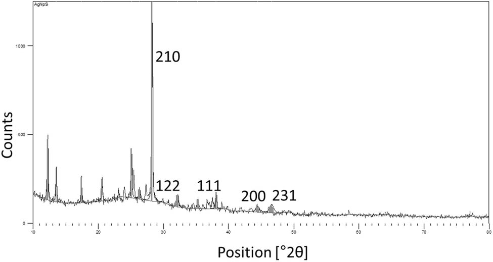 Figure 3 
                  XRD pattern of the synthesized AgNPs.
               