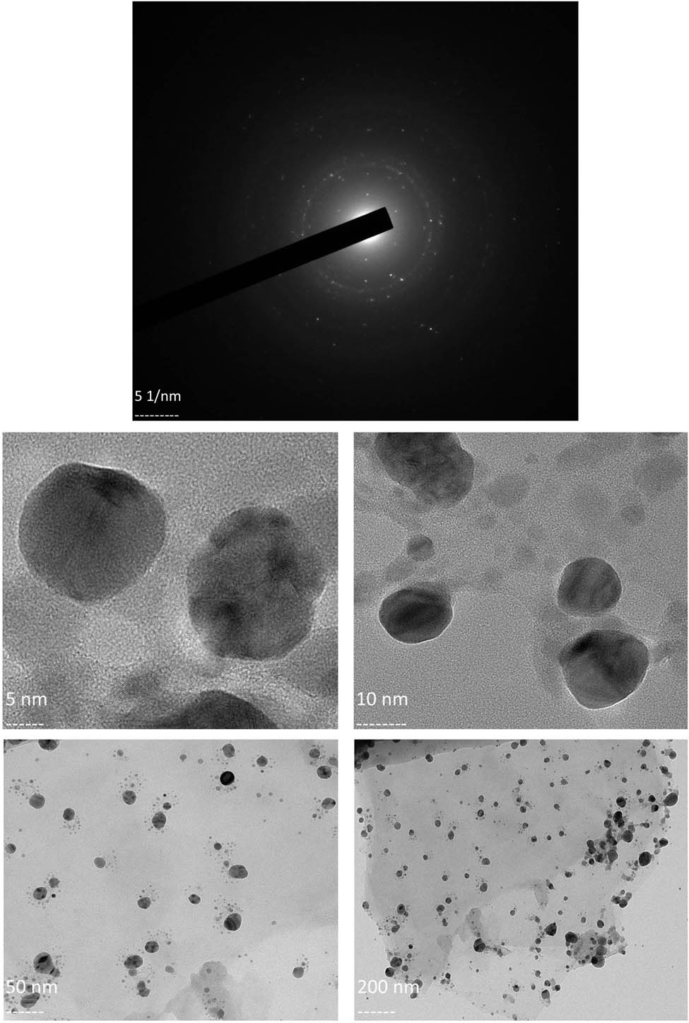Figure 4 
                  (a) SAED pattern of the synthesized AgNPs; (b) TEM-based imaging of the morphology of the synthesized AgNPs.
               