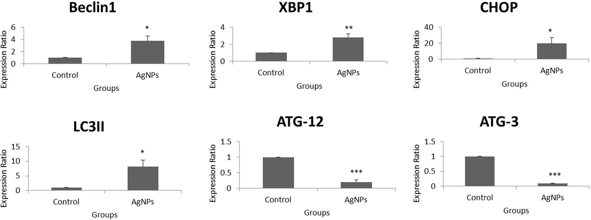 Figure 9 
                  Fold change over control of autophagy-related genes in HT-29 cells using real-time PCR. p values of less than 0.05 (*p < 0.05 and **p < 0.01, compared with the control) are considered significant.
               