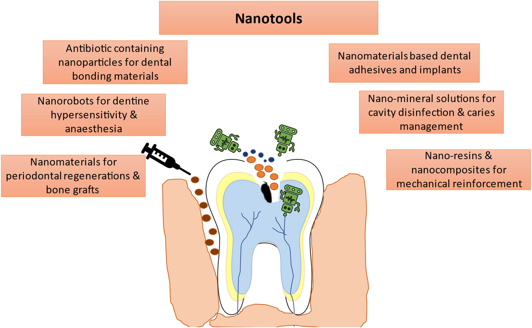 Figure 1 
               Various nanotools for dental afflictions.
            