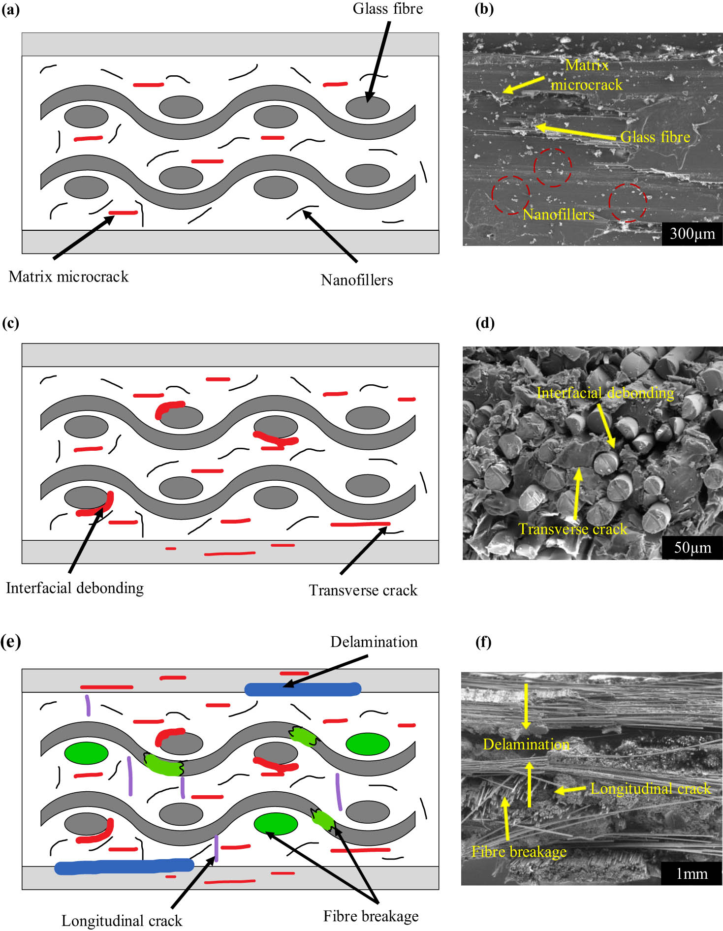Figure 5
Damage illustration and FESEM images for GNP-glass and MWCNT-glass composites: (a) and (b) matrix microcrack, (c) and (d) interfacial bonding and transverse crack, and (e) and (f) delamination, fibre breakage, and longitudinal crack.