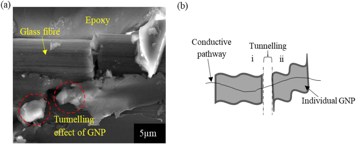 Figure 6
Tunnelling effect: (a) FESEM image of possible tunnelling effect of GNP and (b) modelling distribution of GNP in epoxy.