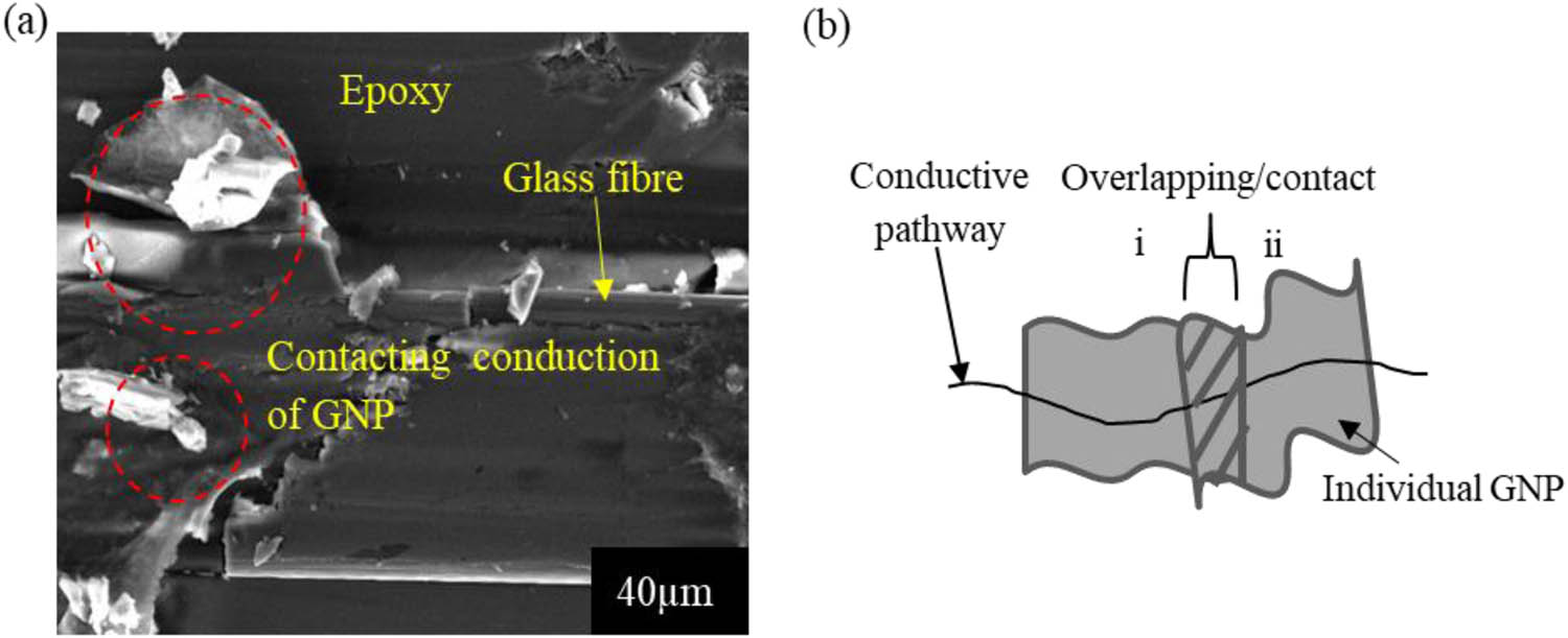 Figure 7
Contacting conduction: (a) FESEM image of possible contacting conduction among GNPs and (b) modelling distribution of GNP in epoxy.