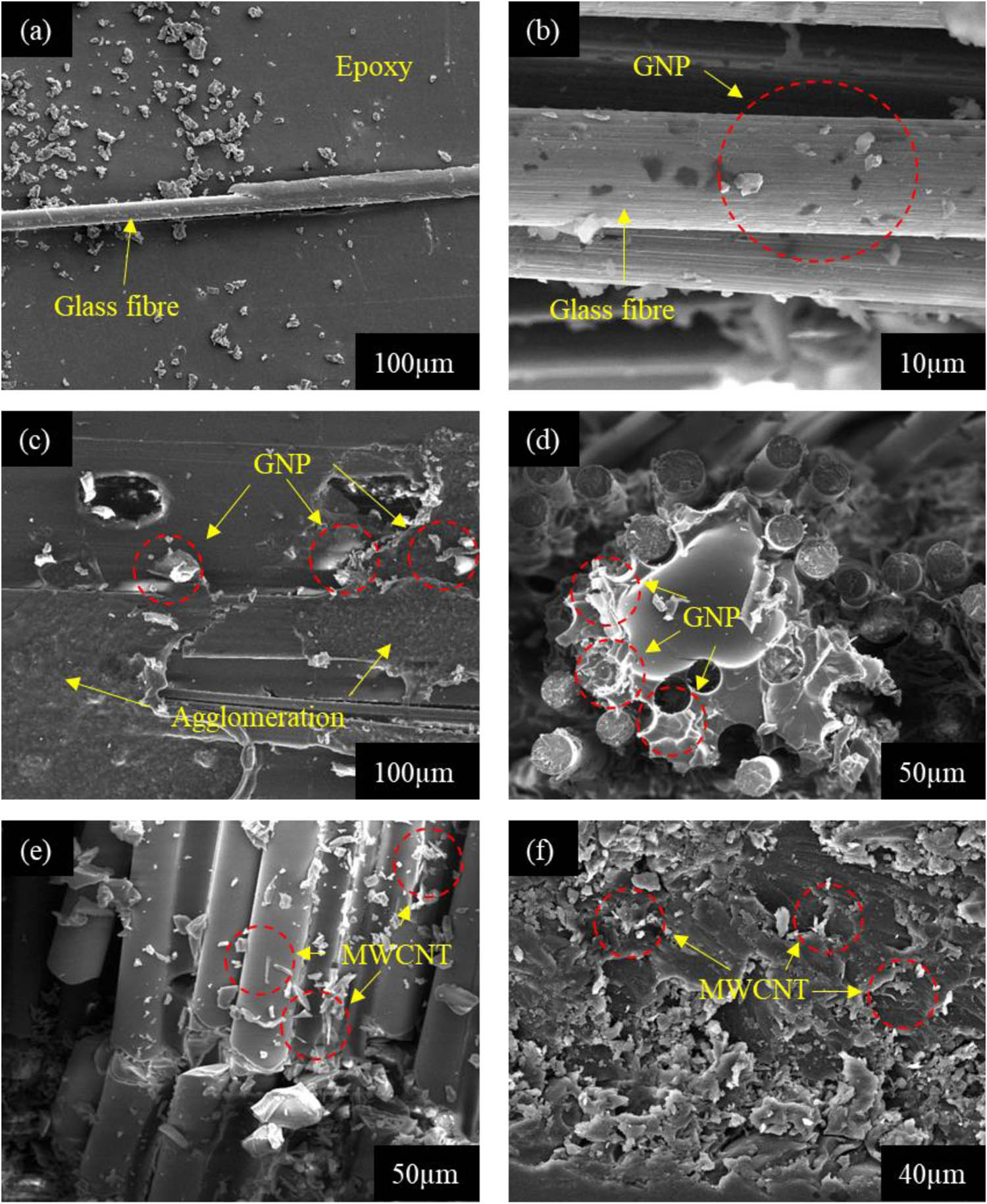 Figure 8
FESEM images: (a) fracture surface of glass, (b)–(d) GNP-glass, and (e)–(f) MWCNT-glass composites.