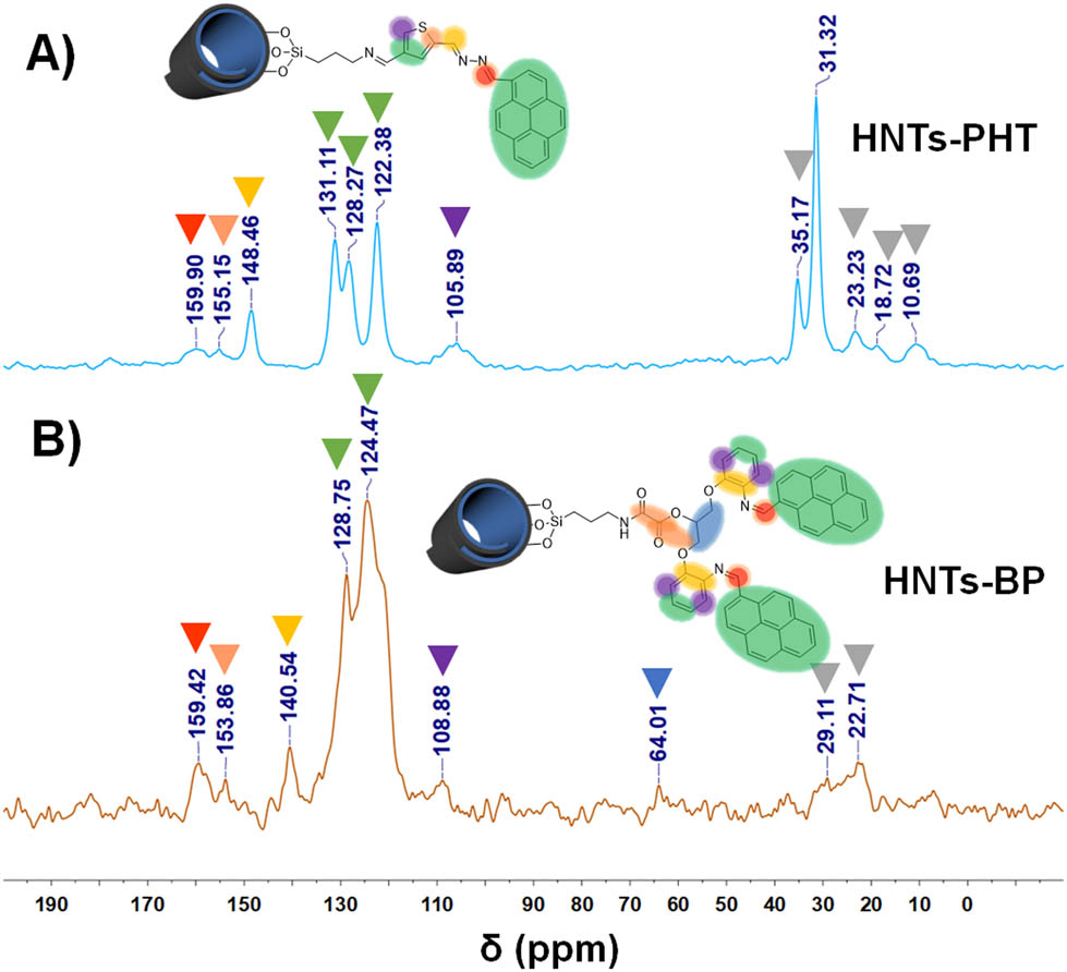 Figure 1 
                  
                     13C solid-state NMR spectra of HNTs-PHT (a) and HNTs-BP (b).
               