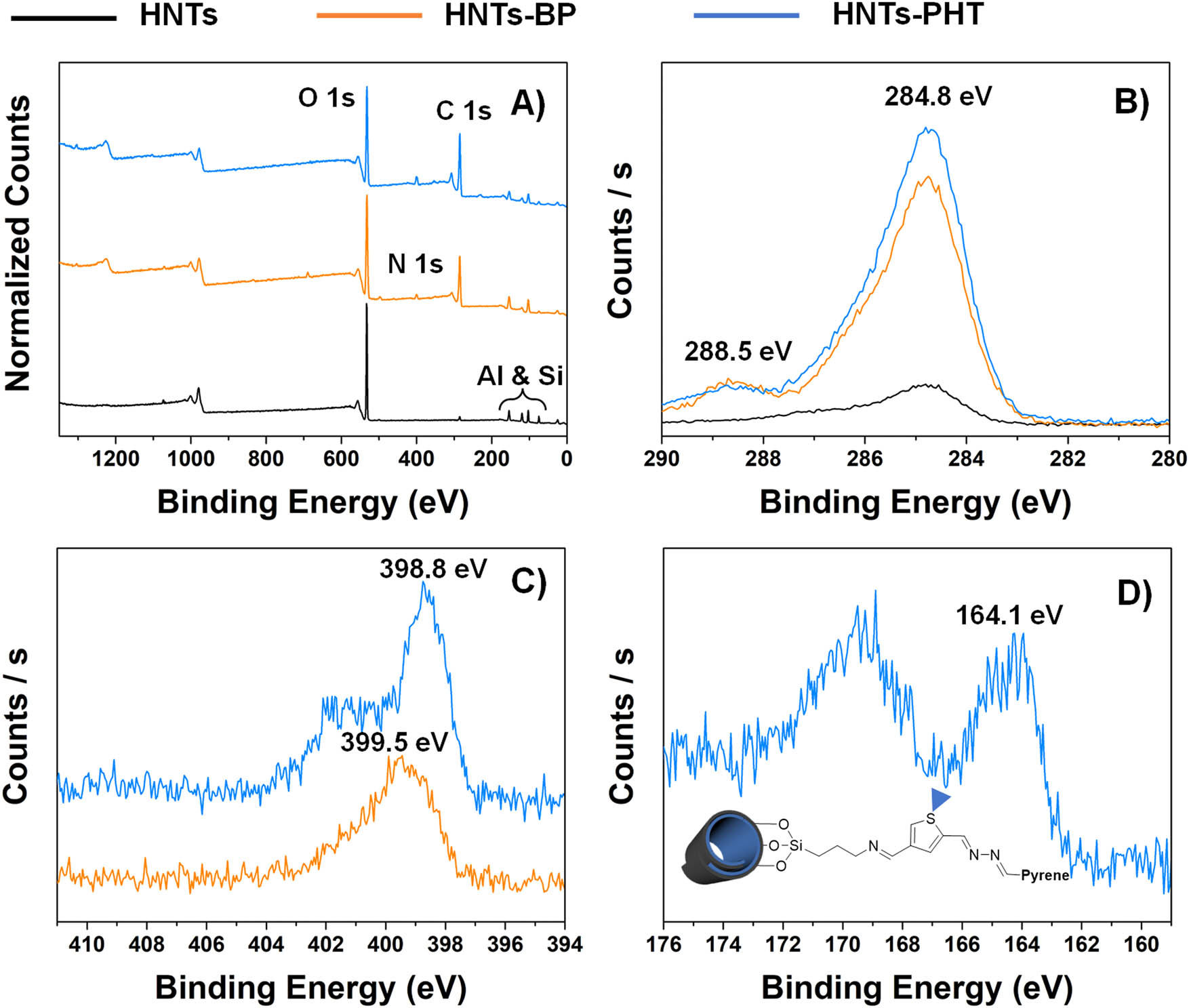 Figure 2 
                  XPS studies [(a) XPS curves of HNTs, HNTs-PHT and HNTs-BP; (b) C 1s regions of HNTs-PHT and HNTs-BP; (c) N 1s regions of HNTs-PHT and HNTs-BP; and (d) S 2p regions of HNTs-PHT].
               