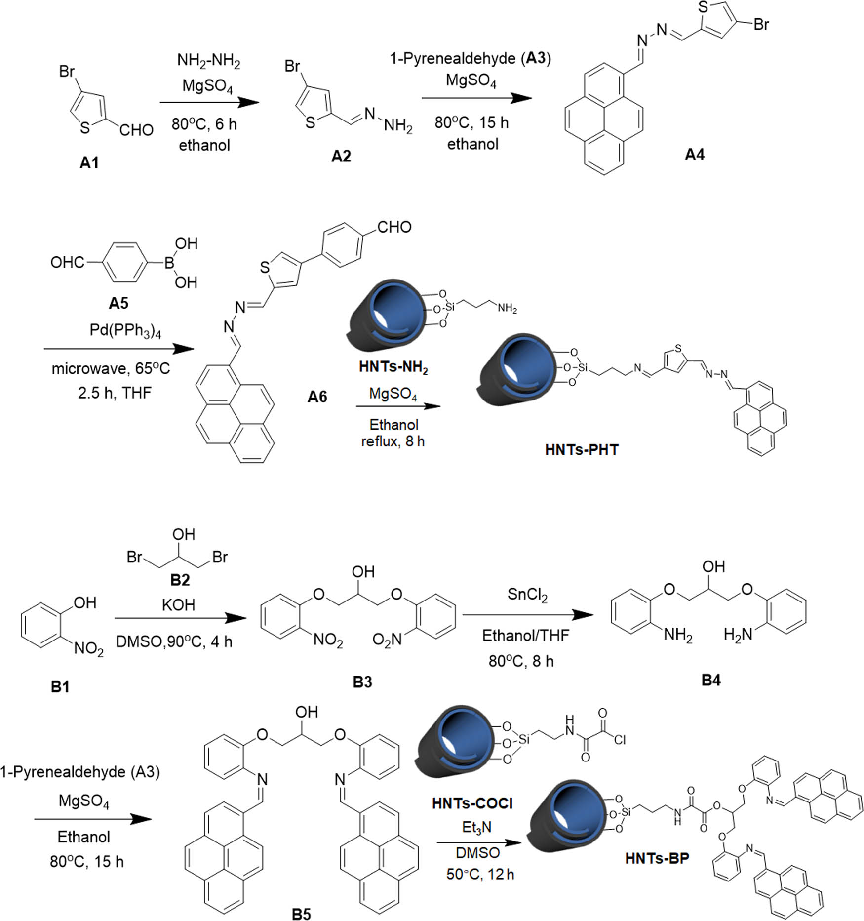Scheme 1 
                  Synthetic approaches to HNTs-PHT and HNTs-BP.
               