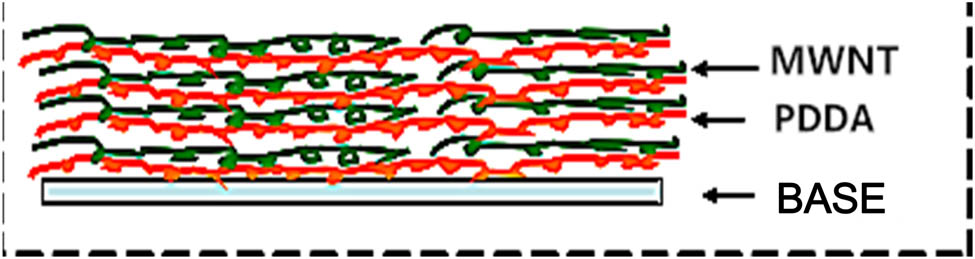 Figure 2 
                  Schematic section structure of CNTFS.
               