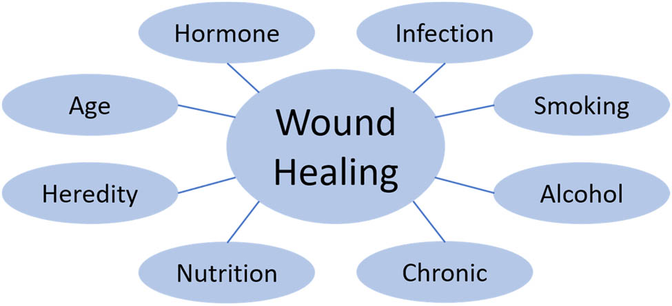 Figure 3 
                  Factors affecting wound healing.
               