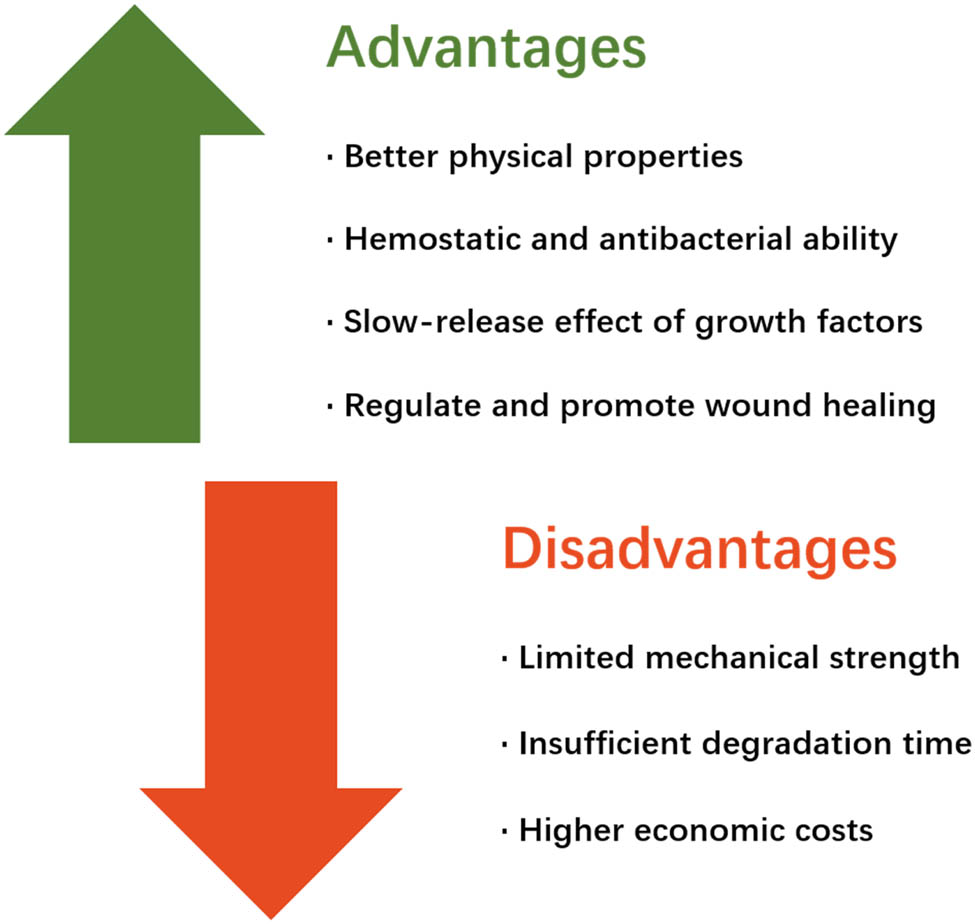 Figure 9 
               The advantages and disadvantages of the combination of natural-based biological hydrogels and growth factors for wound healing.
            