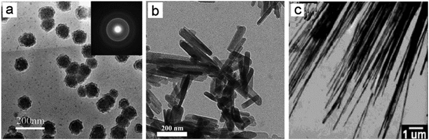 Figure 1 
                  (a) Spherical nano-HA particles, particle size is about 80 nm; (b) rod-like nano-HA particles, particle diameter is about 60 nm; (c) needle-like nano-HA particles, particle diameter ranged from 50 to 70 nm [7,9].
               
