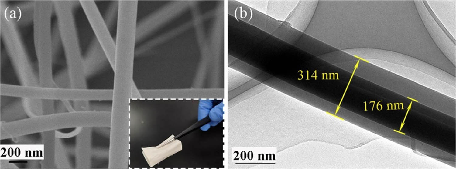 Figure 9 
                     (a) SEM and (b) TEM images of CNFs. Copied with permission from ref. [58]; Elsevier, 2021.
                  