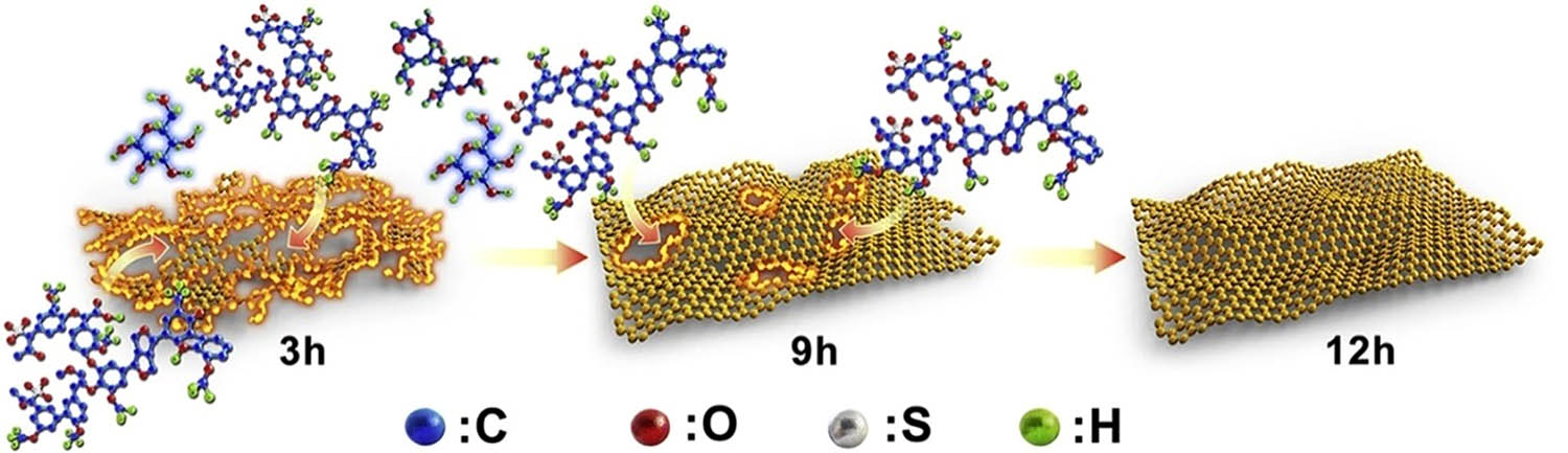 Figure 11 
                     Three-dimensional graphene schematic. Copied with permission from ref. [116]; Elsevier, 2020.
                  