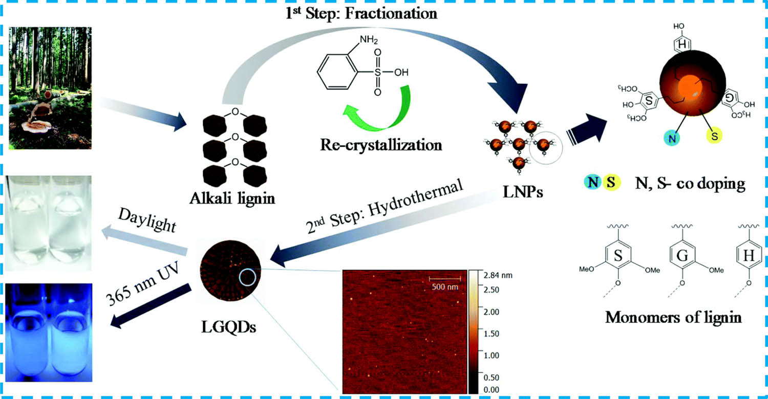 Figure 15 
                        Schematic for the green bottom-up synthesis of lignin-based GQDs via a two-step method. Copied with permission from ref. [178]; Royal Society of Chemistry, 2019.
                     