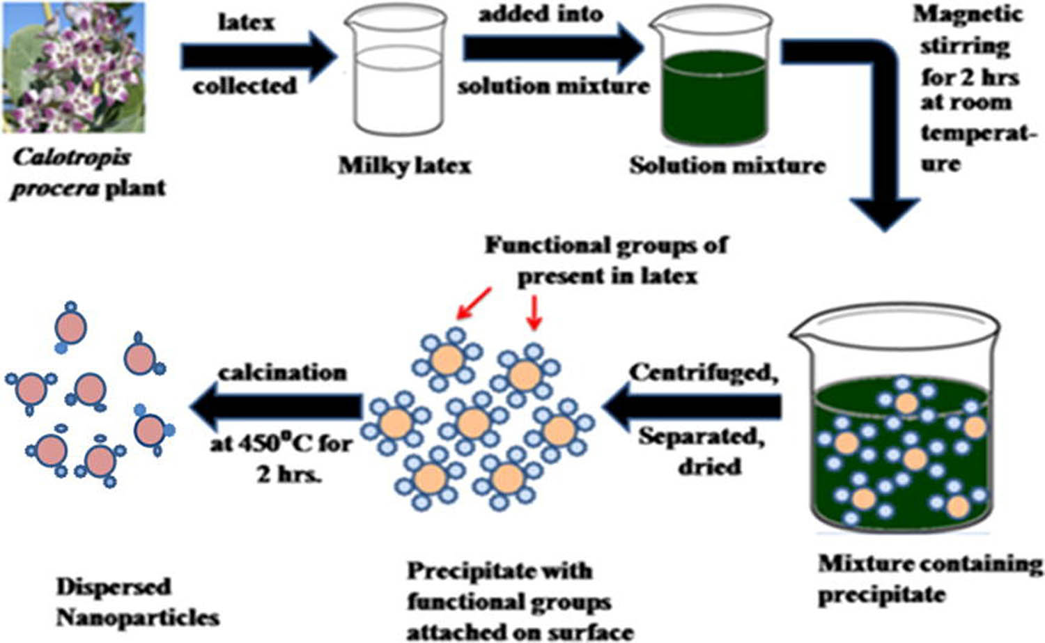 Figure 19 
                     Synthesis steps of Co3O4 NPs. Copied with permission from ref. [238]; Elsevier, 2018.
                  