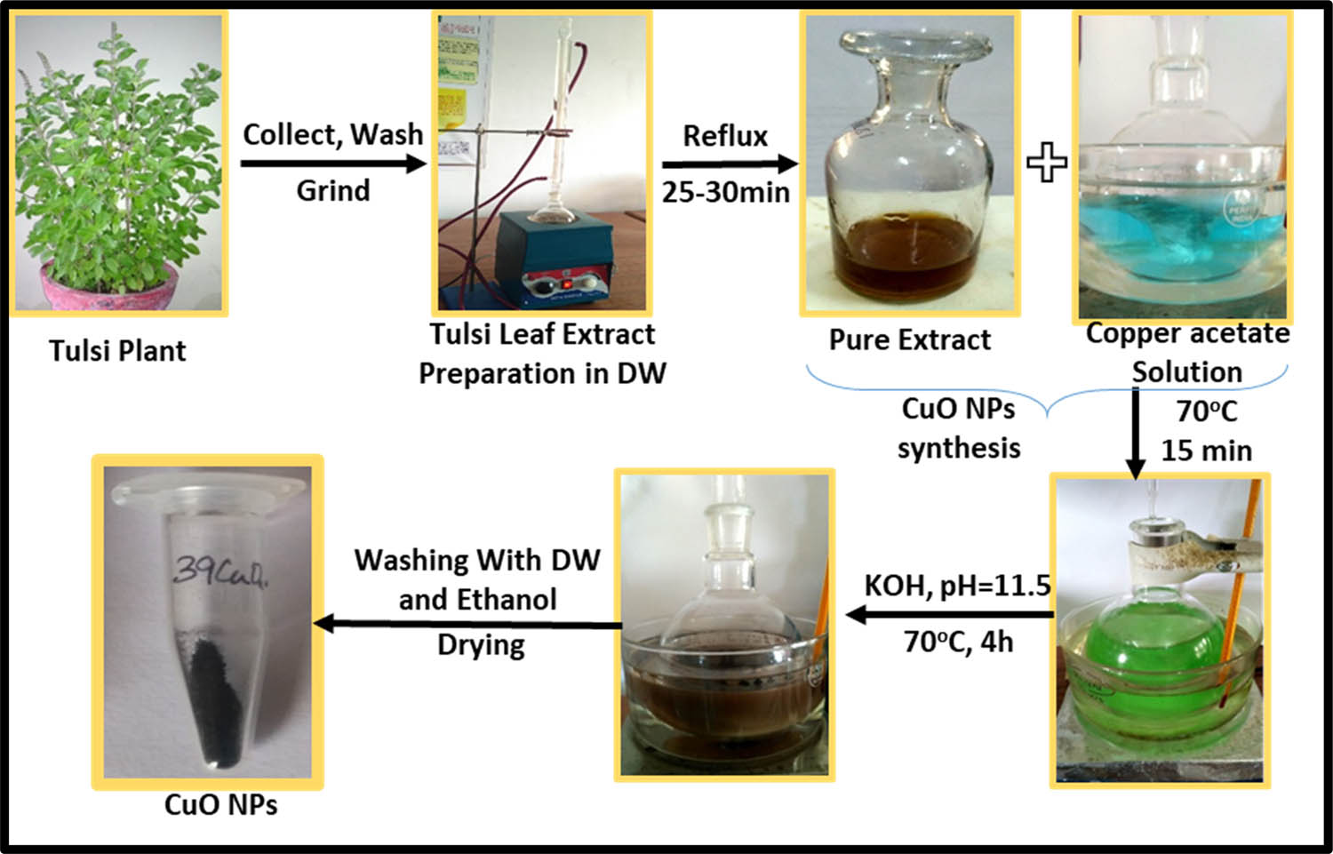 Figure 25 
                     Synthesis of CuO NPs. Copied with permission from ref. [299]; Elsevier, 2021.
                  