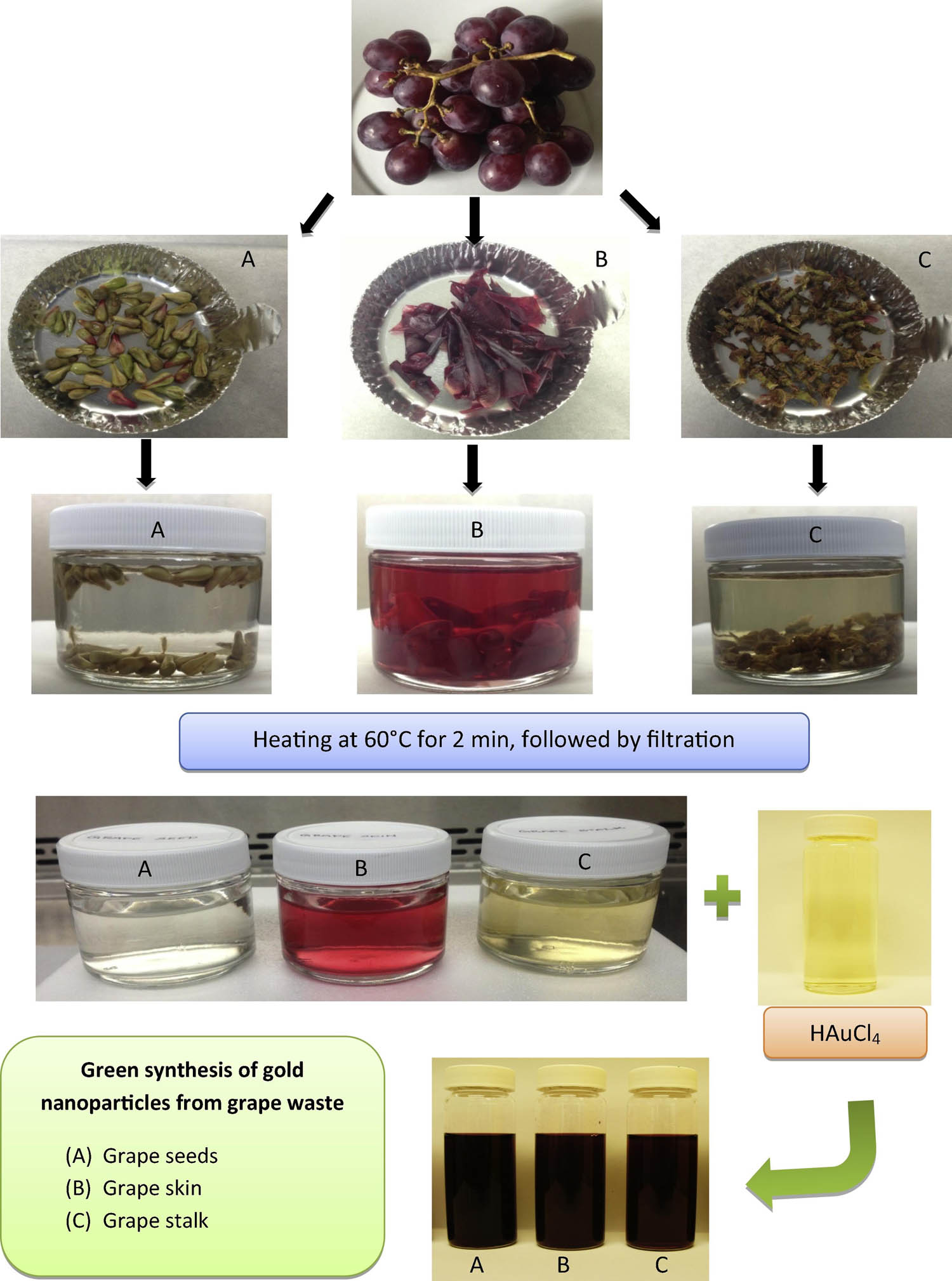 Figure 28 
                  Schematic for AuNPs synthesis. Copied with permission from ref. [352]; Elsevier, 2014.
               