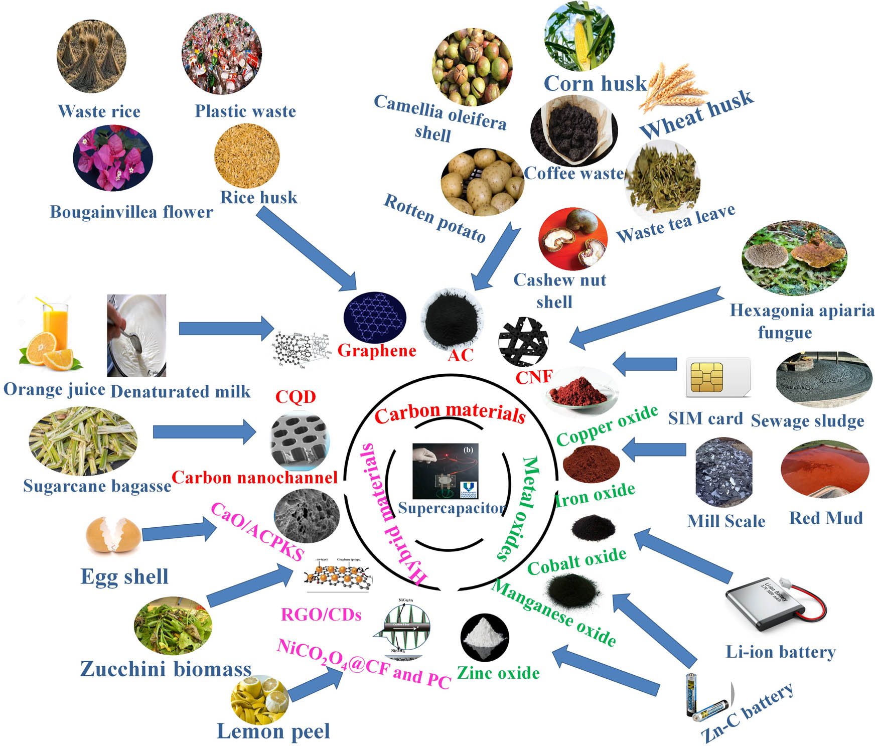 Figure 36 
                     Schematic of the main waste sources used to fabricate supercapacitor electrode materials.
                  