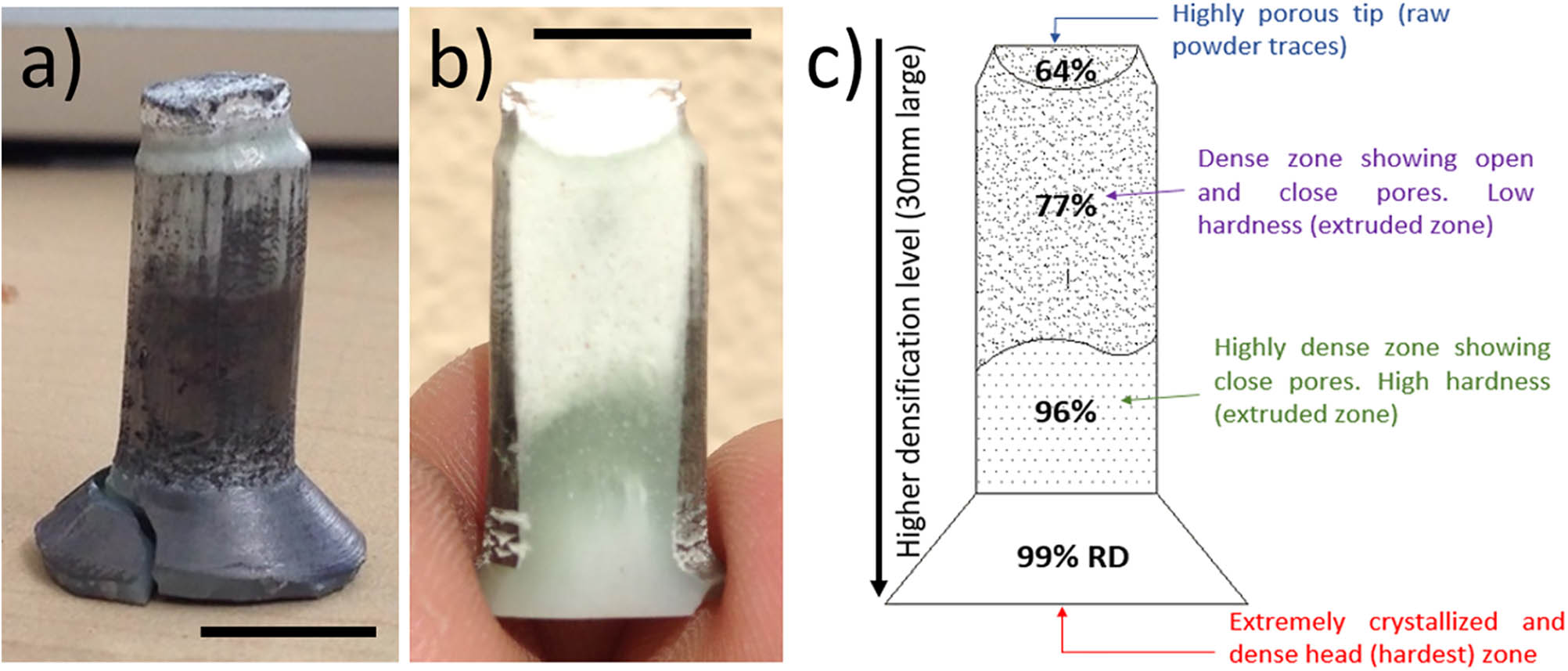 Figure 6 
                  Physical aspect of the HA extrudates obtained by SPE: (a) representative image of an extruded sample showing a fracture at the head generated upon its release from die, (b) the same specimen after polishing demonstrating the variety of colors developed due to the different densification levels attained. The samples were white-bright at the tip (highly porous) and translucent at the head (high dense). (c) Sketch with the RD attained at different zones of the monolith. The scale bars in (a) and (b) correspond to 10 mm.
               