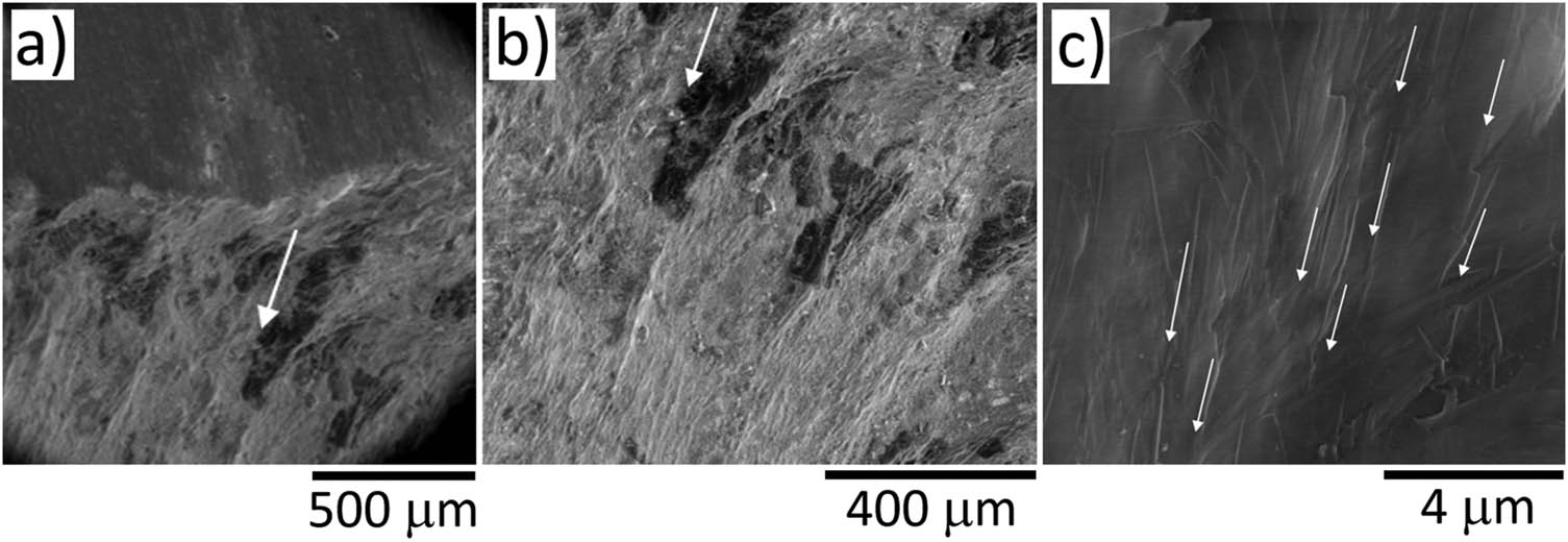 Figure 8 
                  Representative SEM images of the extruded HA monolith at different magnifications (a), (b) and (c). The images were acquired inside a pore in the extrusion zone with an RD of 96%. Arrows indicate the direction of HA flow during extrusion.
               