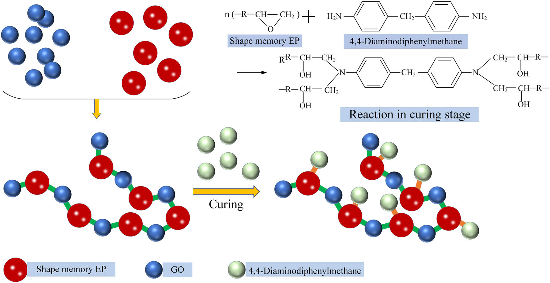 Figure 1 
                  Schematic of reaction mechanism during preparation of SMGO/EP composites.
               