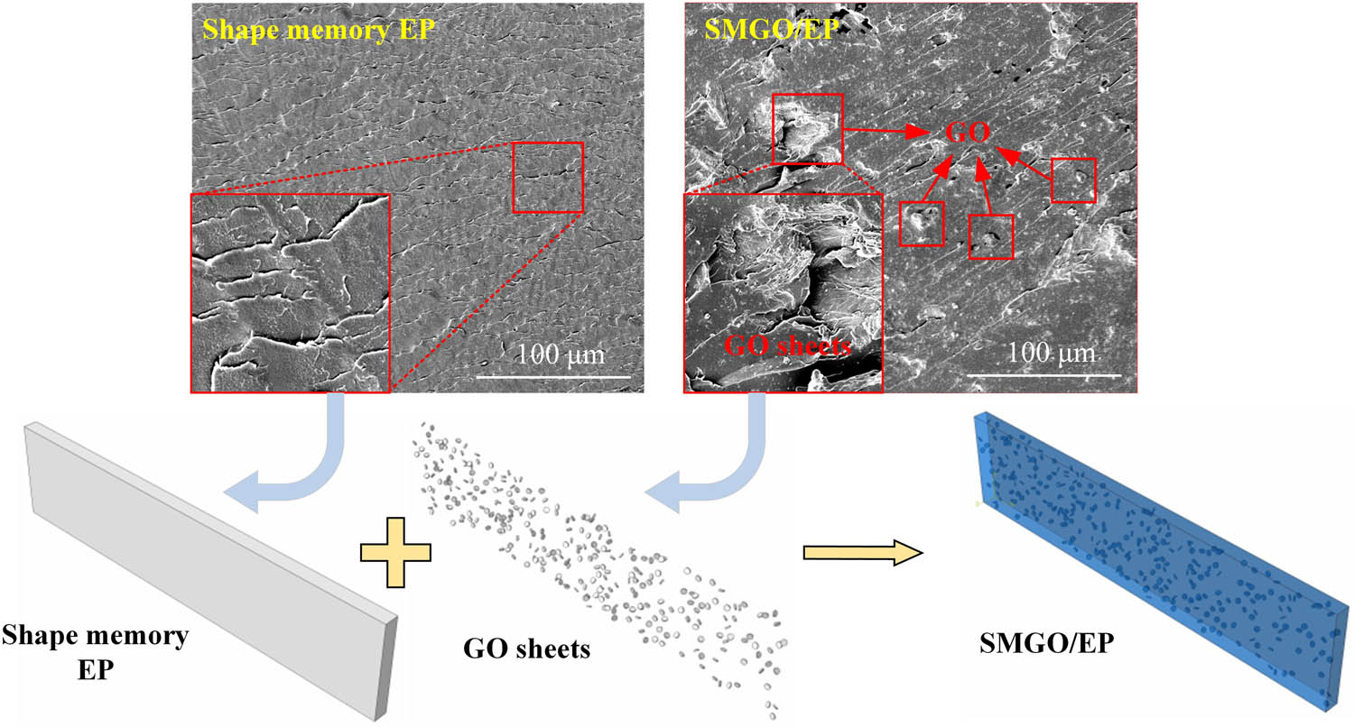 Figure 5 
                  Micro modeling of SMGO/EP composites.
               