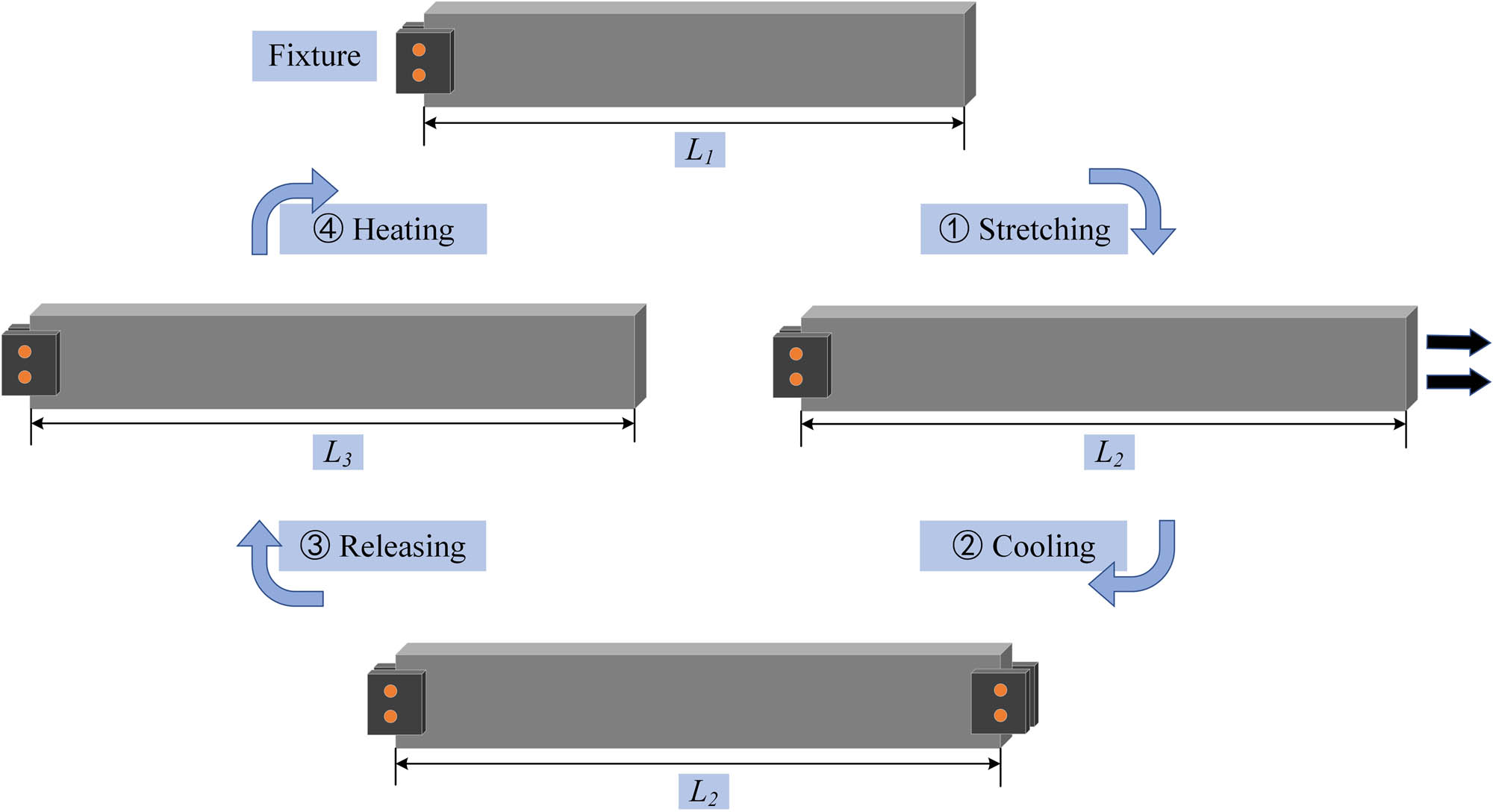 Figure 6 
                  Schematic of shape memory process: (1) stretch 5 mm above the glass transition temperature with a speed of 0.5 mm/s; (2) cool down at a speed of 0.9°C/s and maintain a strain of 5 mm; (3) remove the displacement load; and (4) heat at a speed of 0.9°C/s.
               