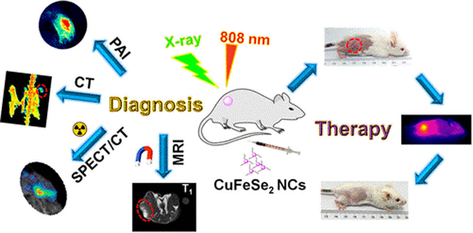Figure 5 
                  Illustration on the use of CuFeSe2 ternary quantum dot (TQD) for multimodal imaging photothermal therapy of cancer; with permission from ref. [101]; ACS.
               