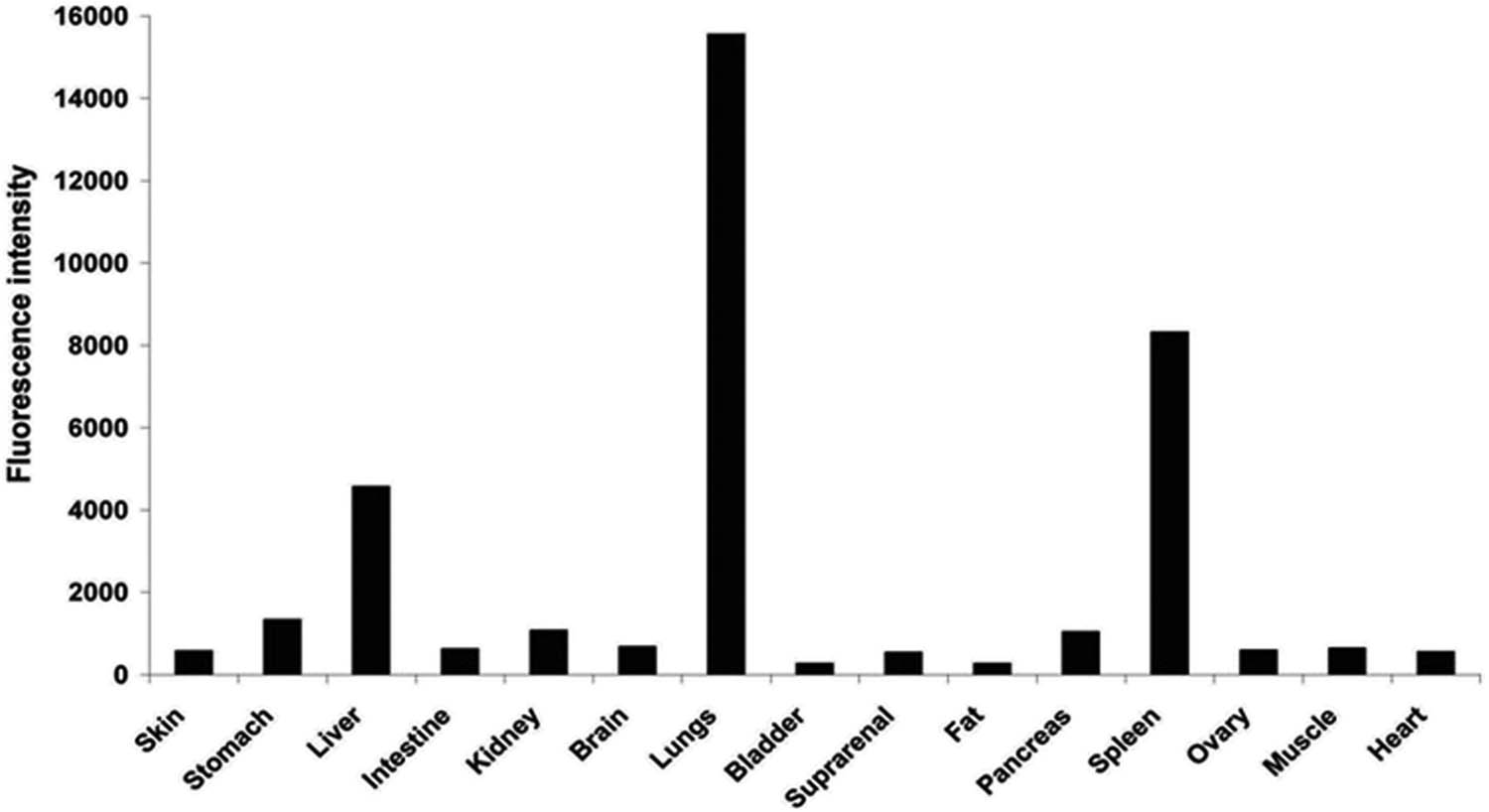 Figure 6 
               Biodistribution of CIS/ZnS QDs in major organs of a mouse after 24 h of administration; with permission from ref. [117]; ACS.
            