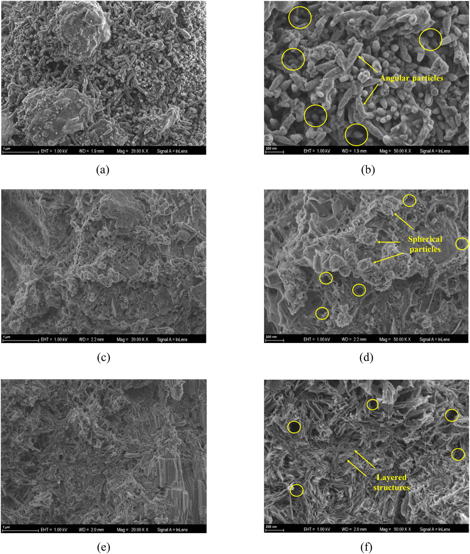 Figure 13
Microstructure images of three mortar samples. (a) S0 20,000×, (b) S0 50,000×, (c) S1 20,000×, (d) S1 50,000×, (e) S2 20,000×, and (f) S2 50,000×.