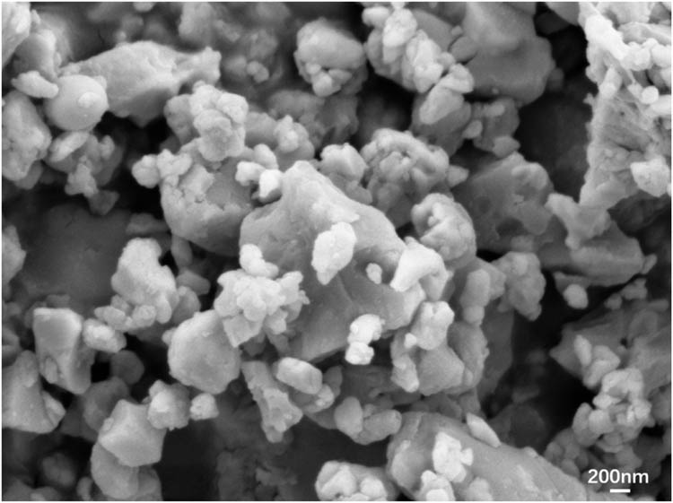 Figure 2 
                  Scanning electron micrograph of nano-ZrSi2 particles.
               