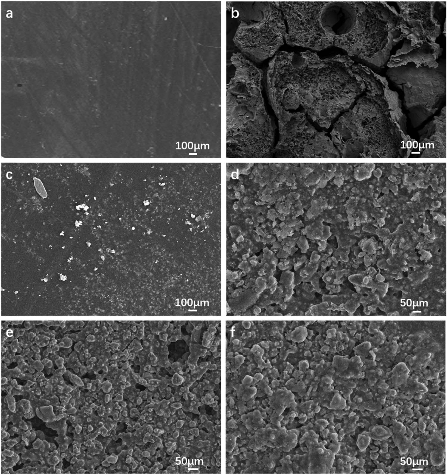 Figure 6 
                  Micromorphology of Ph resin and Z/Ph resin after different heating times (a) Ph-0, (b) Ph-1, (c) Z/Ph-0, (d) Z/Ph-1, (e) Z/Ph-4, and (f) Z/Ph-8.
               