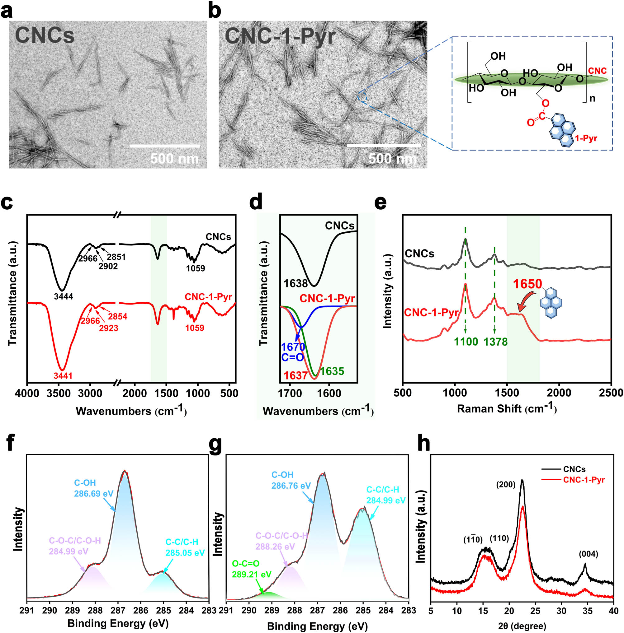 Figure 1
Structural characterizations of pyrene-modified CNCs: (a and b) TEM images of CNCs and CNC-1-Pyr, (c) FT-IR spectra of CNCs and CNC-1-Pyr, (d) enlarged absorption peaks in a range of 1,530–1,730 cm−1 as marked in (c), (e) Raman spectra of CNCs and CNC-1-Pyr (f and g) high-resolution XPS of C 1s in (f) CNCs, (g) CNC-1-Pyr, and (h) XRD of CNCs and CNC-1-Pyr.