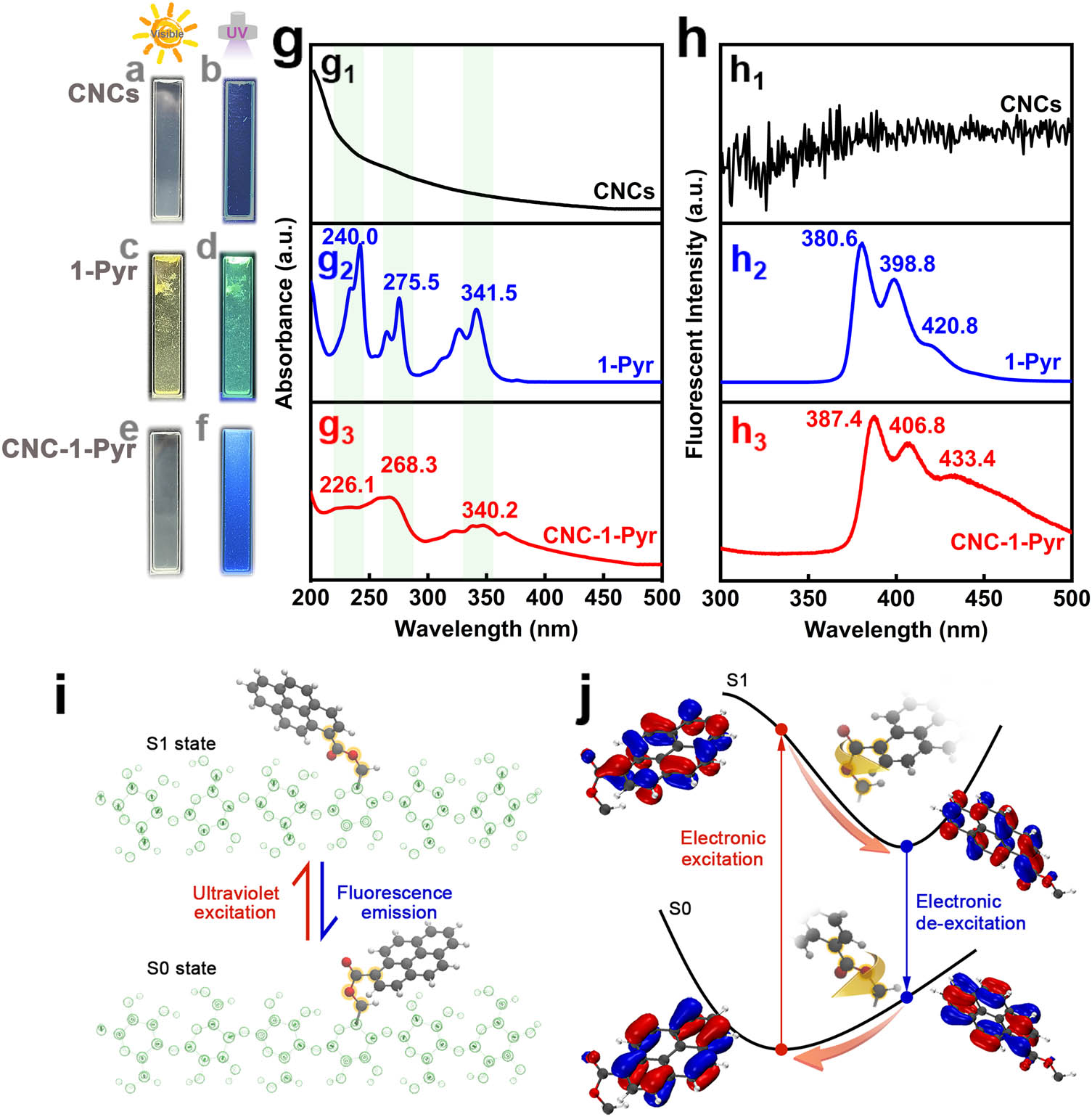 Figure 2
Fluorescence emission of CNCs, 1-Pyr, CNC-1-Pyr, and excited-state geometry relaxation in CNC-1-Pyr: (a–f) digital photos of (a and b) CNCs, (c and d) 1-Pyr, and (e and f) CNC-1-Pyr under (a, c, and e) natural light or (b, d, and f) UV light. (g) UV-vis spectra and (h) fluorescence emission spectra of (g1 and h1) CNCs, (g2 and h2) 1-Pyr, and (g3 and h3) CNC-1-Pyr. (i) Stable conformation of CNC-1-Pyr in S0 and S1 state. (j) Transformation of electronic and molecular structures along S0/S1 potential energy surface during excitation, relaxation, and de-excitation.