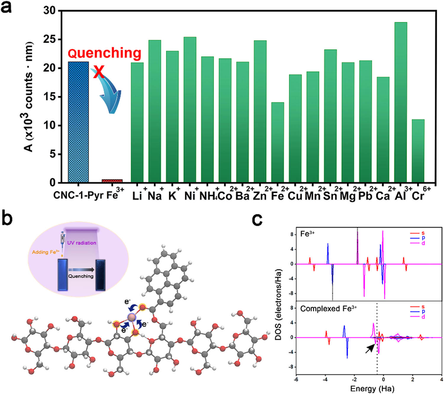 Figure 3
Fluorescence quenching of CNC-1-Pyr for specific detection of Fe3+: (a) integral area of emission peaks calculated from the fluorescence emission spectra, (b) stable conformation of CNC-1-Pyr after complexing with Fe3+. The inset is the digital photos of the CNC-1-Pyr solution before and after fluorescence quenching. (c) DOS of free Fe3+ and Fe3+ @CNC-1-Pyr complex. The dotted lines refer to the Fermi levels. The arrow points out the captured electron from adjacent O atoms.