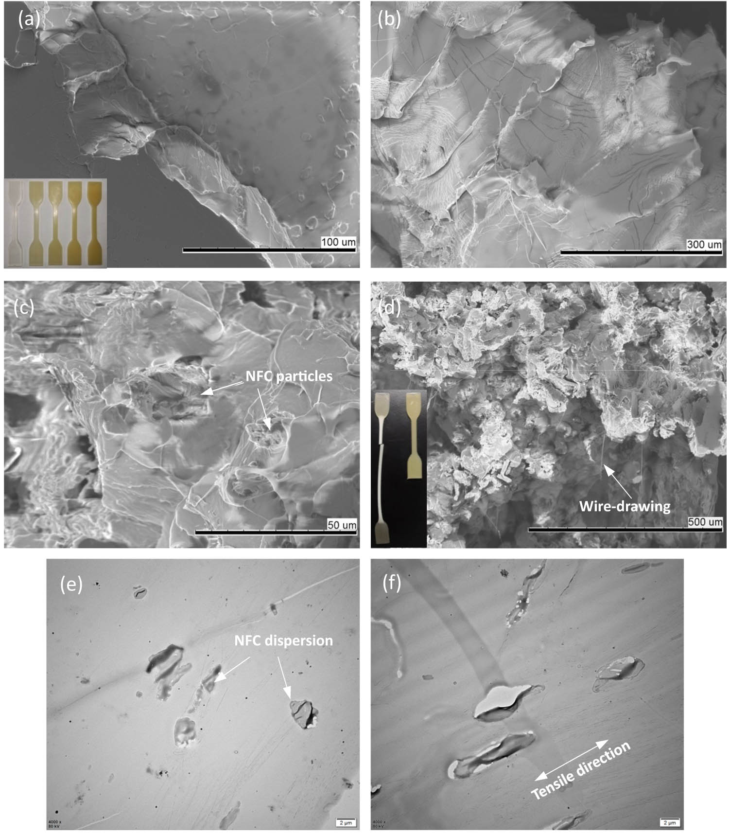 Figure 3 
                  SEM images of tensile fractural surface of (a) pure PLA, (b) PLA with 15 wt% ATBC, (c) PLA composites with 15 wt% ATBC and 4 wt% NFC, (d) PLA composites with 20 wt% ATBC and 4 wt% NFC, (e) cross-sectional TEM image of PLA composites with 20 wt% ATBC and 4 wt% NFC, (f) vertical-sectional TEM image of PLA composites with 20 wt% ATBC and 4 wt% NFC after tension.
               
