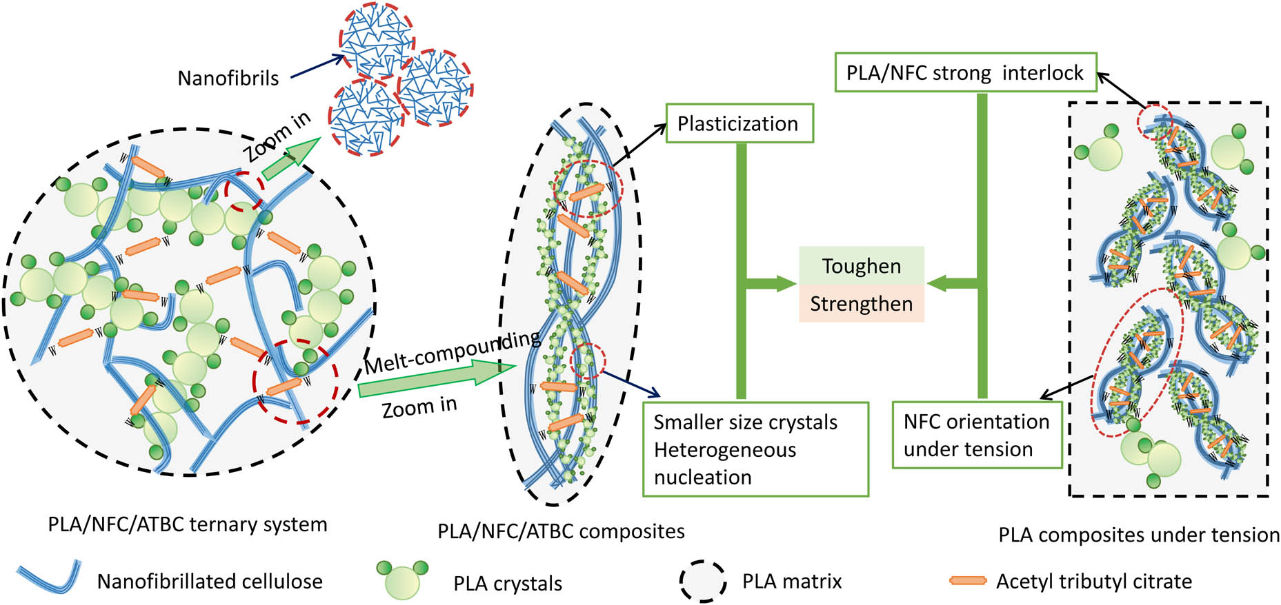 Figure 6 
                  Schematic illustration of the toughening and strengthening mechanism of the composites.
               