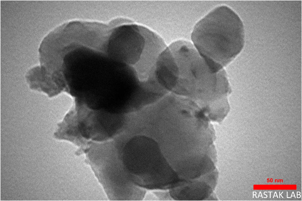 Figure 3
TEM images of CFN.