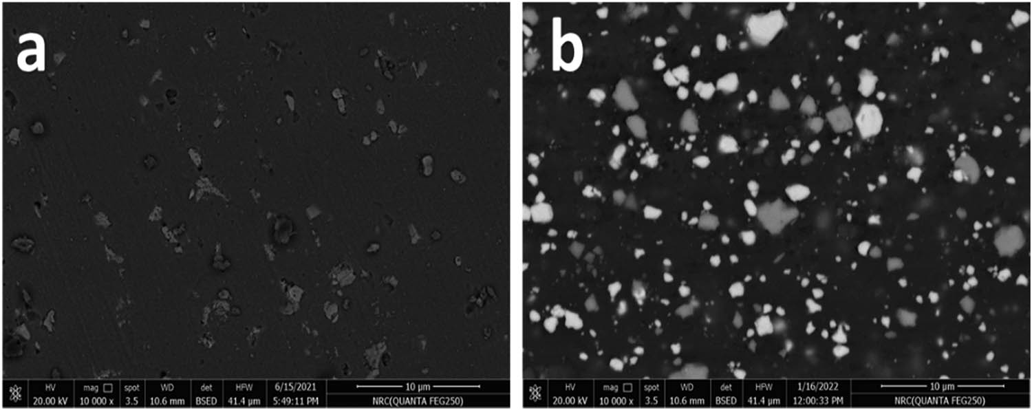 Figure 6 
                  SEM images of the (a) AA2024/TaC monocomposite and (b) AA2024/TaC_NbC hybrid composite.
               