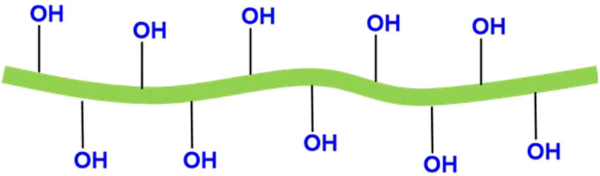 Figure 4 
                  Scheme of mechanically fibrillated CNFs.
               