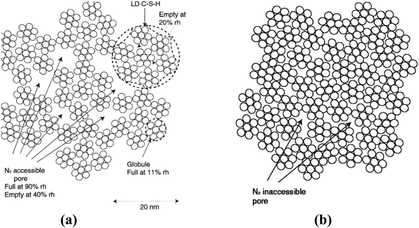 Figure 11 
                  (a) 2D schematic of LD C–S–H formed by the late-stage and/or by drying and (b) 2D schematic of HD C–S–H, the predominant type of C–S–H that forms during the late-stage at water/cement ratio = 0.4, reprinted with permission from ref. [118]; Copyright 2000, Elsevier Ltd.
               