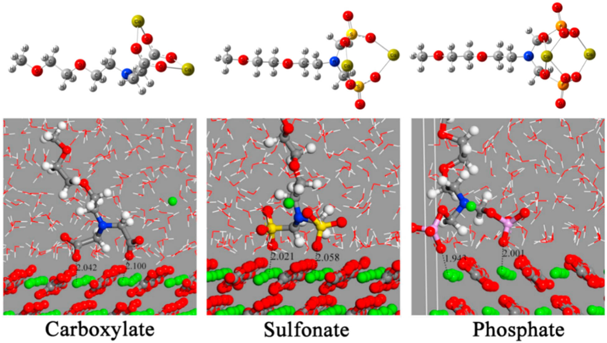 Figure 12 
               The complexes of three monomers (carboxylate, sulfonate, and phosphate) with Ca2+, reprinted with permission from ref. [121]; Copyright 2019, Elsevier Ltd.
            