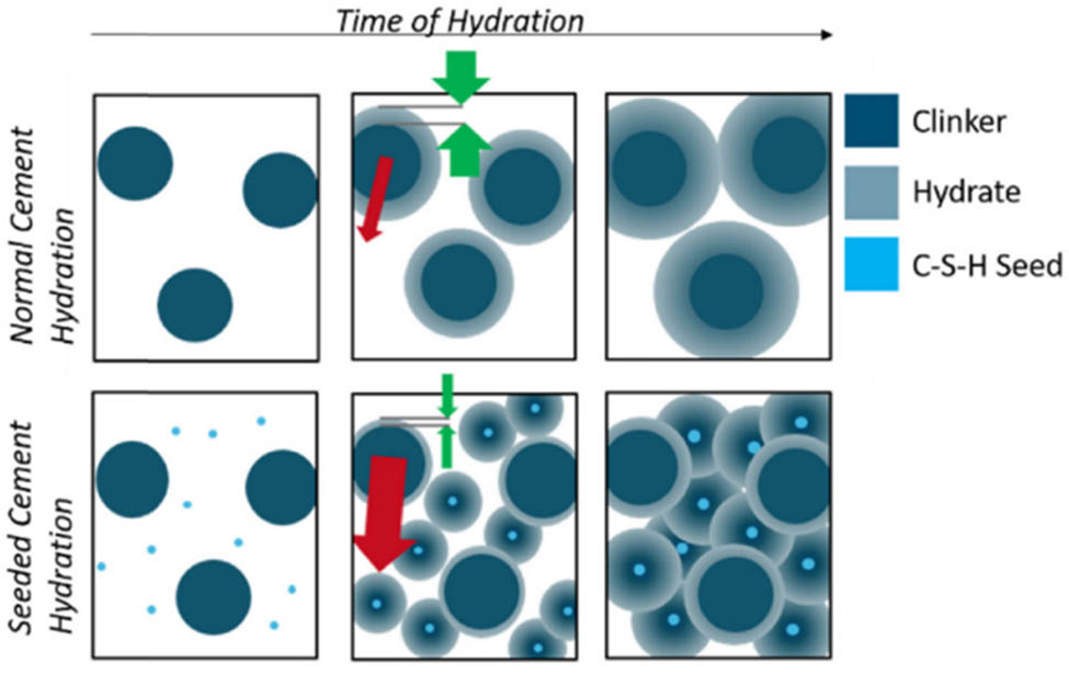 Figure 24 
                  Schematic representation of cement hydration and the influence of nucleation seeding with C–S–H. The red arrows display concentration gradients, while the green arrows highlight the different thicknesses of the hydrate formed around the clinker particles, reprinted with permission from ref. [105]; Copyright 2018, Elsevier.
               