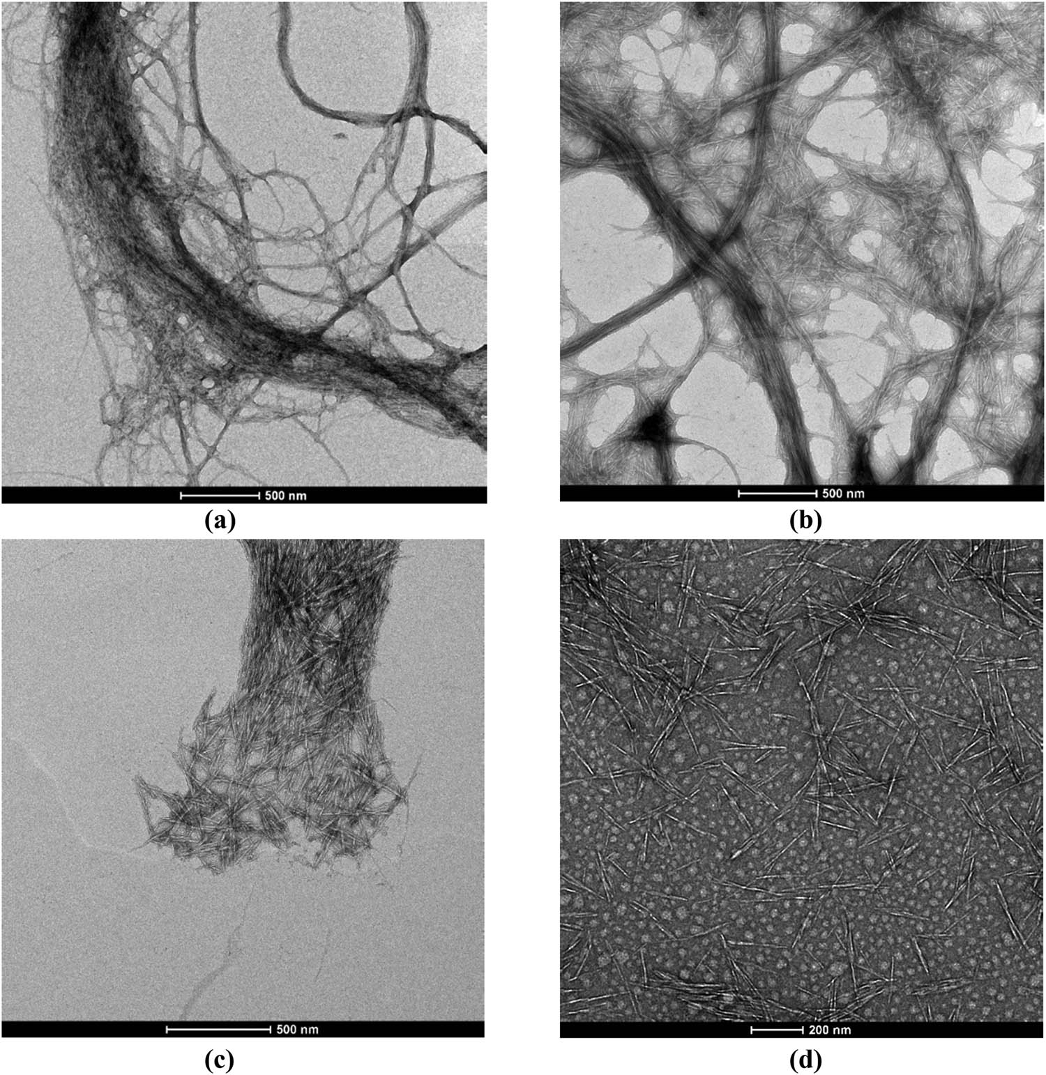Figure 32 
            Morphology of CNFs: (a) before sonication and (b) after 30 min sonication; the morphology of CNCs: (c) before sonication and (d) after 30 min sonication, reprinted with permission from ref. [76]; Copyright 2021, Elsevier Ltd.
         