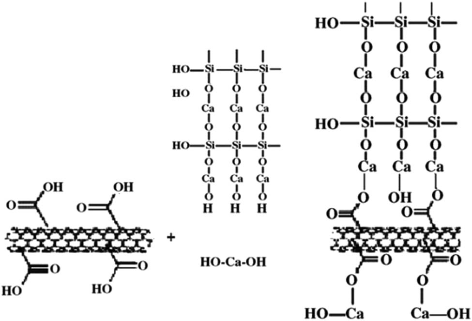 Figure 33 
                  Reaction scheme between the carboxylated nanotubes and hydrated production (Ca(OH)2 and C–S–H) of cement, reprinted with permission from ref. [20]; Copyright 2005, Elsevier Ltd.
               