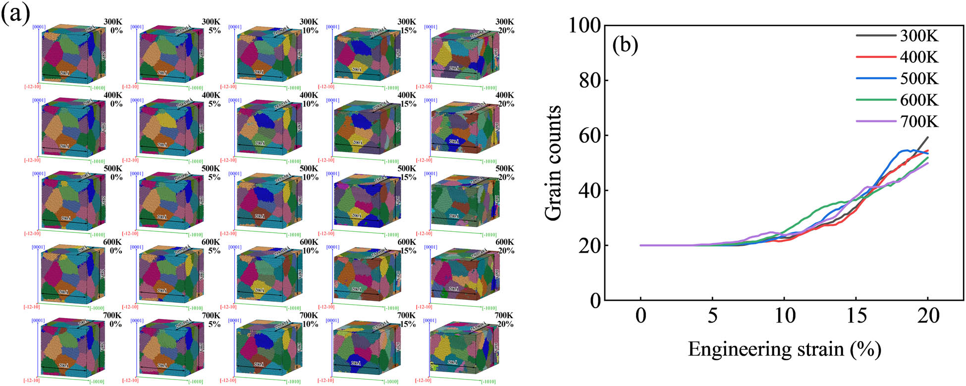 Figure 10 
                  Grain evolution: (a) grain diagram and (b) grain number curve.
               