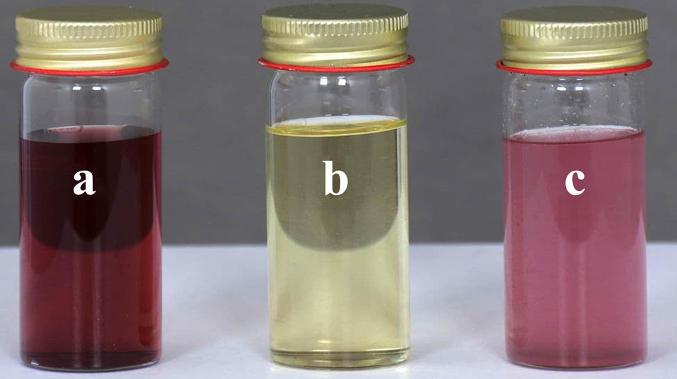 Figure 1 
                  Samples: (a) AuNPs preparation, (b) CHR solution, and (c) CHR–AuNPs preparation.
               