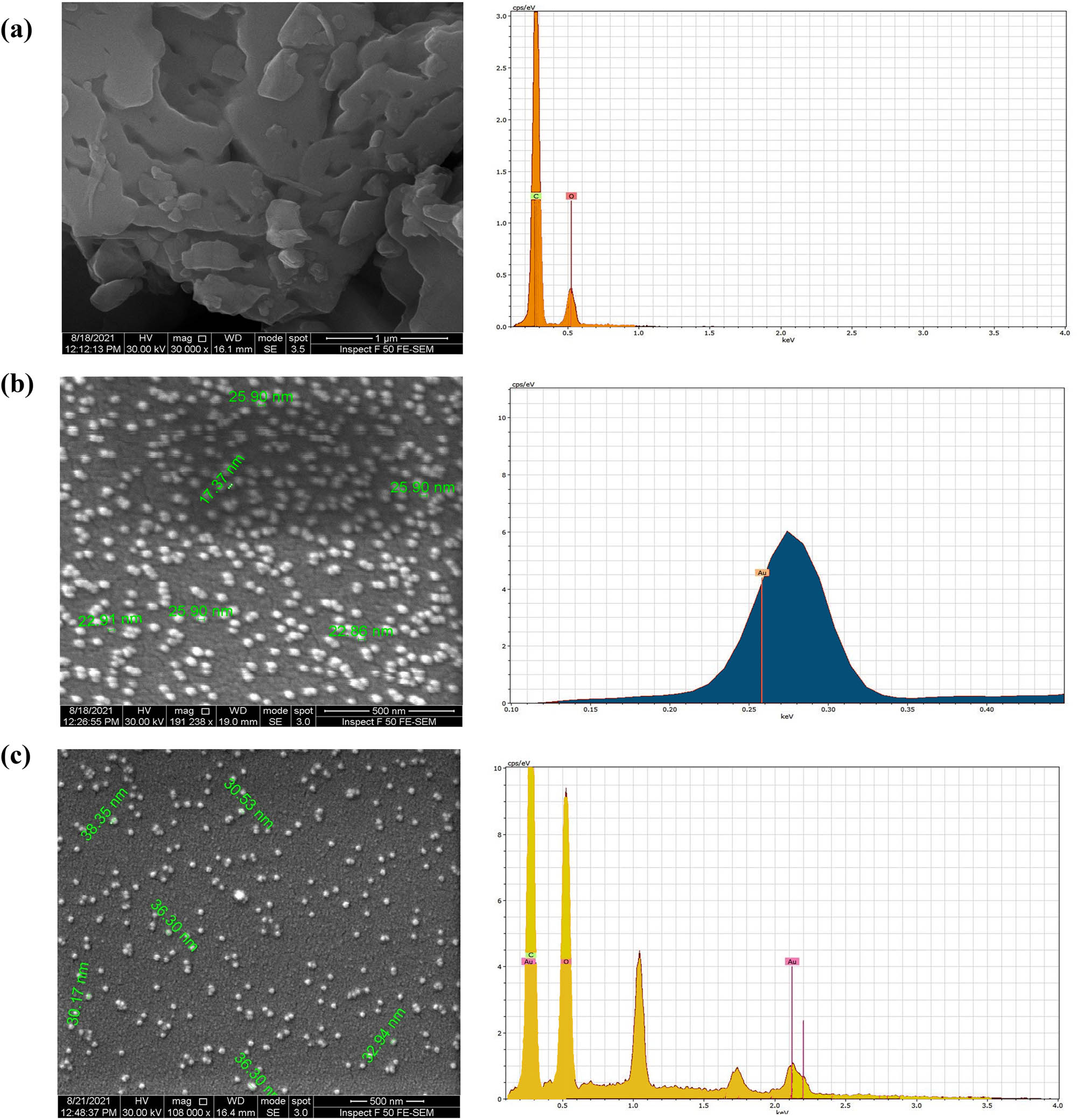 Figure 6 
                  FE-SEM, and energy dispersive analysis (EDX): (a) CHR, (b) AuNPs, and (c) CHR–AuNPs.
               