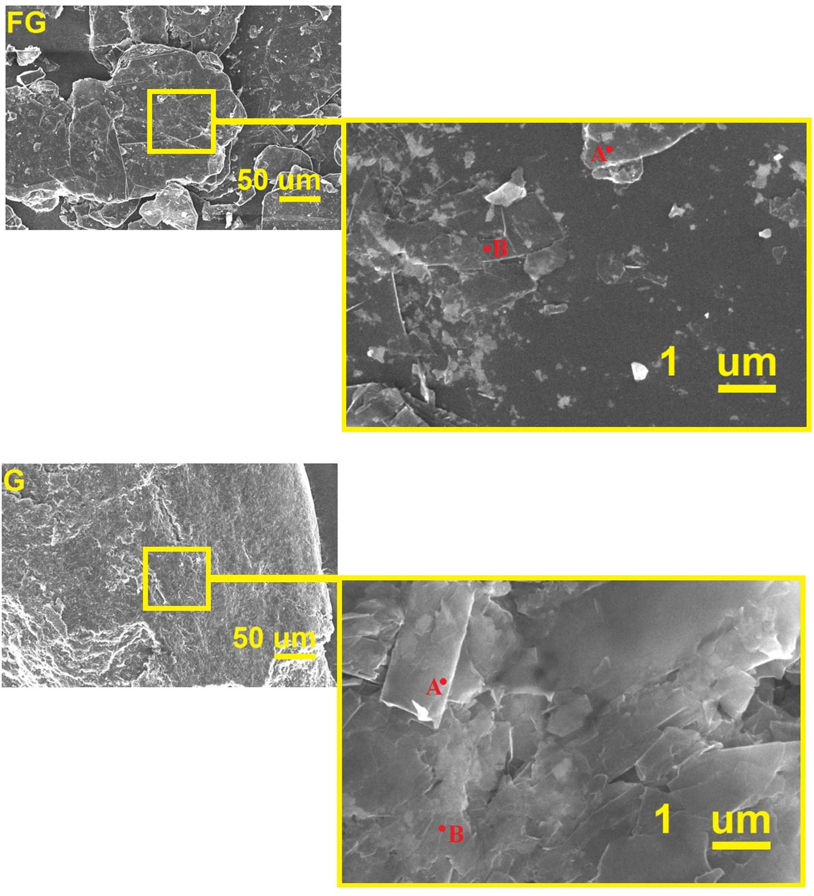 Figure 6 
                        FESEM image for graphene and flake graphite.
                     
